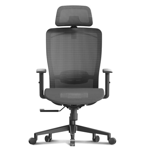 FLEXISPOT OC3 Ergonomic Office Chair High Back Mesh Computer Chair, Gray