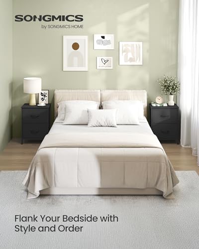 Nightstand with 2 Fabric Drawers, Bedside Table, Side End Table