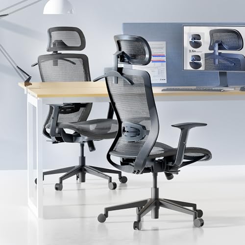 FLEXISPOT OC3 Ergonomic Office Chair High Back Mesh Computer Chair, Gray