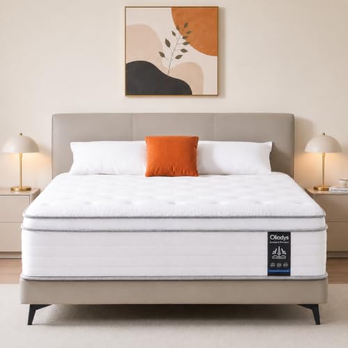 Full Mattress 12 Inch, Hybrid Spring Mattress, Medium Firm