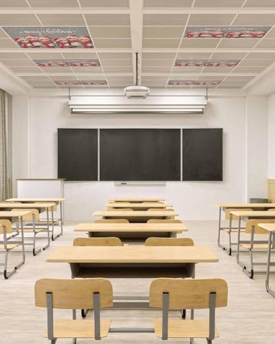 Christmas Red Magnetic Fluorescent Light Covers for Ceiling Lights 2 x 4 Feet,Snowflakes Vintage Owl Watercolor Grey Office Classroom Kitchen Drop Ceiling Light Covers Filters Shade Panel 2 Packs