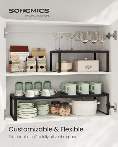 Spice Rack, Expandable Kitchen Countertop Shelf, Steel, Set of 1