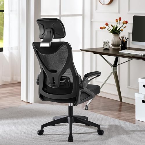 Ergonomic Office Chair with Headrest, Lumbar Support, Black