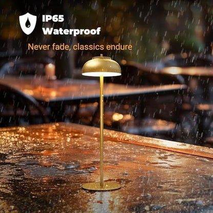 Cordless Table Lamps, Rechargeable LED Touch Lamp, Gold, 2 Pack