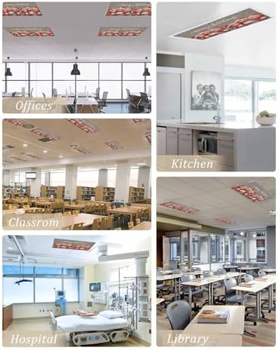 Christmas Red Magnetic Fluorescent Light Covers for Ceiling Lights 2 x 4 Feet,Snowflakes Vintage Owl Watercolor Grey Office Classroom Kitchen Drop Ceiling Light Covers Filters Shade Panel 2 Packs