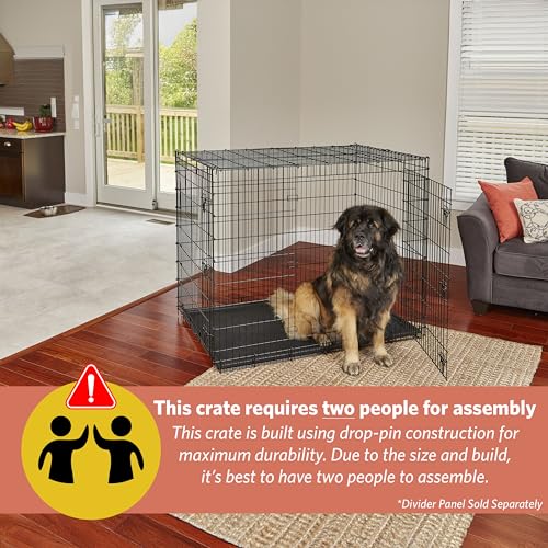 Solutions by Midwest 54-Inch Double Door Crate, Giant Breed Dogs, 100+ lbs