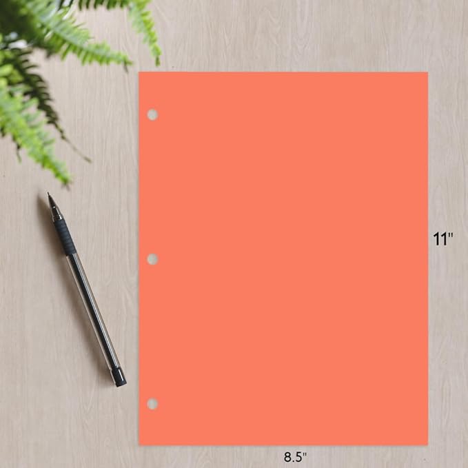 Copy And Printing Color Paper, 20 Lb. 3 Hole Punch 500 Sheets Per Ream. (Salmon)