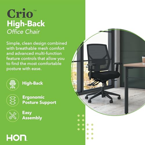Crio Ergonomic Office Chair, Office Desk Computer Chair, Black