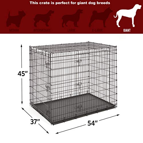 Solutions by Midwest 54-Inch Double Door Crate, Giant Breed Dogs, 100+ lbs