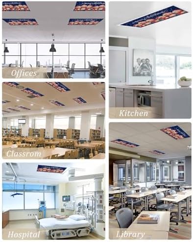 Christmas Blue Magnetic Fluorescent Light Covers for Ceiling Lights 2 x 4 Feet,Vintage Owl Snowflakes Watercolor Grey Office Classroom Kitchen Drop Ceiling Light Covers Filters Shade Panel 3 Packs