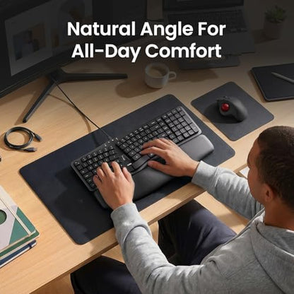 Nulea Ergonomic Split Keyboard Wired with Curved Layout and Palm Rest