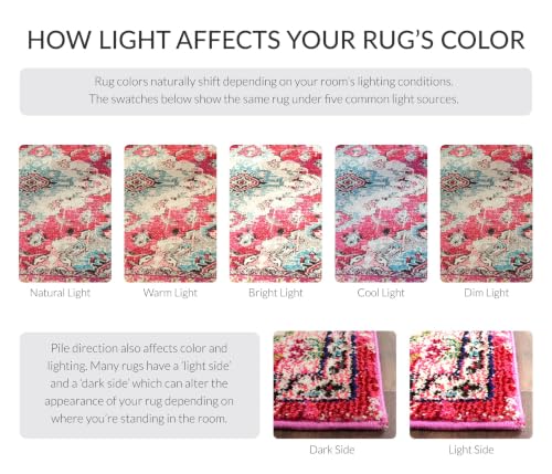 SAFAVIEH Monaco Area Rug 8x10, Large Pink & Multi MNC243D