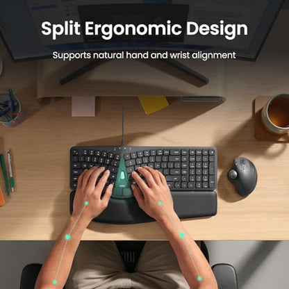 Nulea Ergonomic Split Keyboard Wired with Curved Layout and Palm Rest
