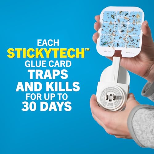 Safer Home Flying Insect Trap, Plug-in Fruit Fly Trap for Indoors, 2-Pack