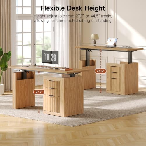 ONBRILL 55" Electric Standing Desk with File Cabinet & Storage, Oak Brown