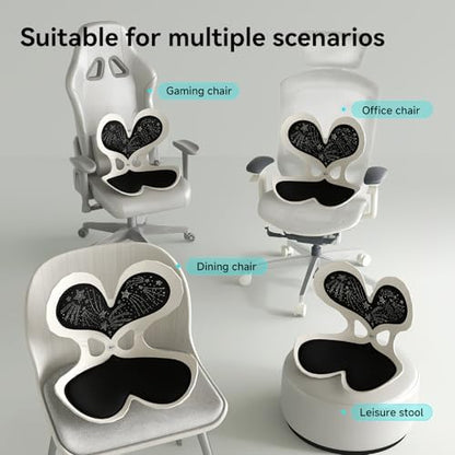 BKT Ergonomic Seat Cushion - Lumbar Support Pillow for Office Chair & Floor