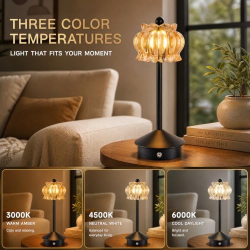 Rechargeable Cordless Table Lamp,Portable LED Desk Lamps,Black