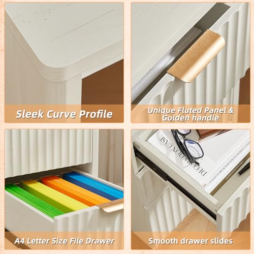 Office Desk 48" with 3 Drawers Storage File Cabinet