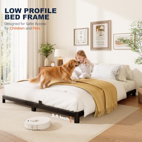 Queen Bed Frame, 4 Inch Low Profile Metal Platform Bed with Round Legs