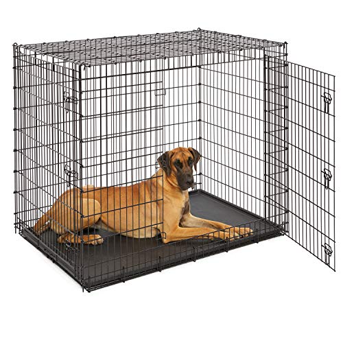 Solutions by Midwest 54-Inch Double Door Crate, Giant Breed Dogs, 100+ lbs