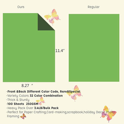 Livholic 100 Pack Heavy Duty Paper Colored Cardstock Front Back Different Color Codes 250 GSM for Cricut, Scrapbook, Paper Crafting, Office Supplies (100)
