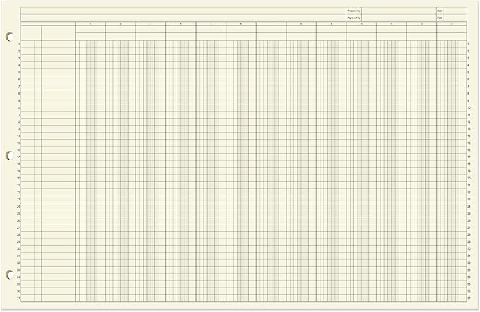 BookFactory Ledger Sheets/Large 13 Column Accounting Ledger Columnar (Thirteen Columns) Loose Leaf Paper - 17'' x 11'', 50 Pages, Loose Leaf, 3 Hole Punched (Made in USA)