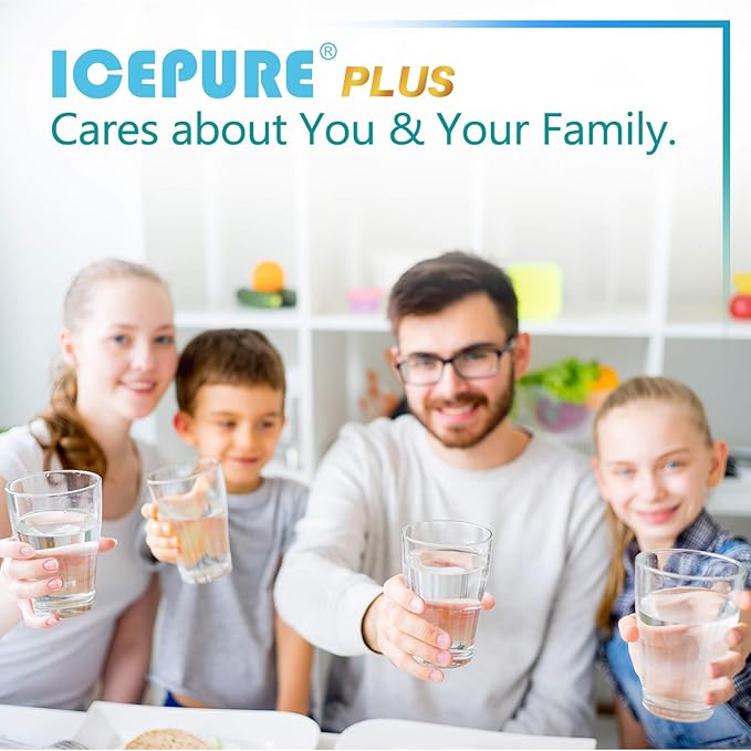 ICEPURE PLUS 46-9690 NSF/ANSI 53 Certified Replacement for LG LT700P ADQ36006101, Kenmore Elite 9690 ADQ36006102, LFX28979ST, RWF1200A, LFX25978ST, LFXS30766S Refrigerator Water Filter,2PACK