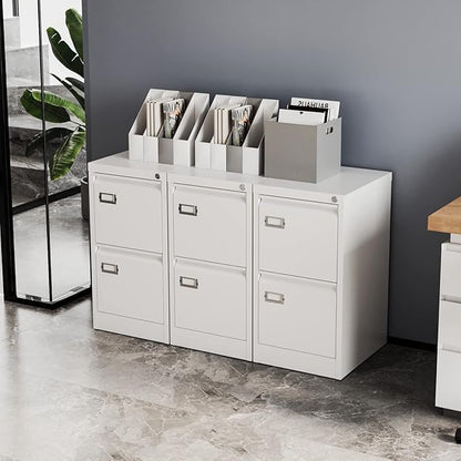 Fesbos 2 Drawers Vertical File Cabinets - 17.8" Deep Lockable Filing Cabinet - Metal Storage Cabinets for Home Office to Hanging Files Letter/Legal/F4/A4 Size