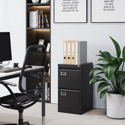 BYNSOE 2 Drawer File Cabinet with Lock Metal Vertical Filing Storage Cabinet Office Home Steel Vertical File Cabinets for A4 Legal/Letter Size Narrow File Cabinet Locked,Assembly Required