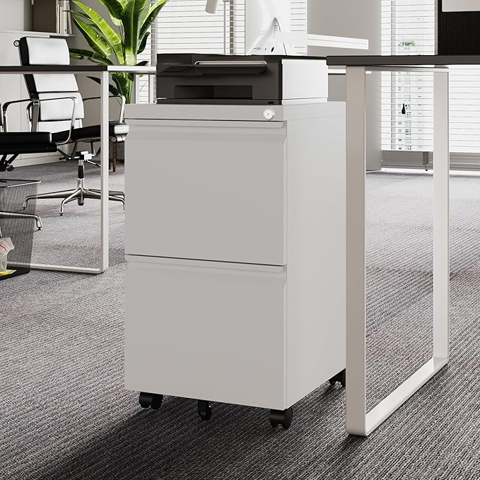 Letaya 2 Drawer Mobile File Cabinet with Lock,Under Desk Metal Filing Cabinets for Home Office Organizer Letters/Legal/A4(White-Requires Installation)