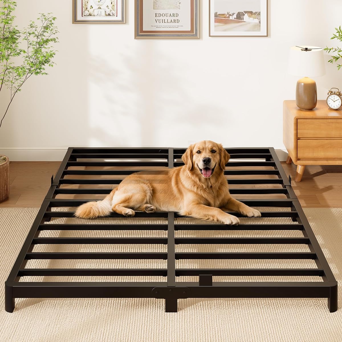 Queen Bed Frame, 4 Inch Low Profile Metal Platform Bed with Round Legs