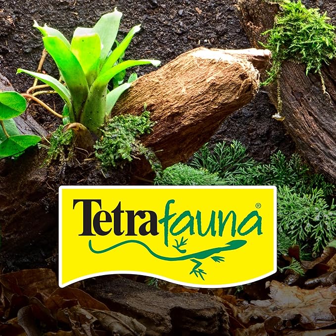 Tetra ReptoFilter Medium Filter Cartridges for Terrariums, 3 Count, Fits TetraFauna ReptoFilter 20 gal, Viquarium, and Decorative ReptoFilter